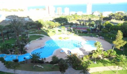 apartment - Wiederverkauf - Benidorm - Poniente