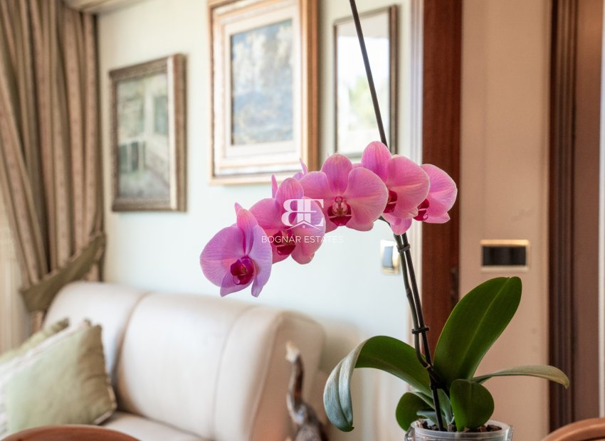 Herverkoop - apartment -
Alicante - Center