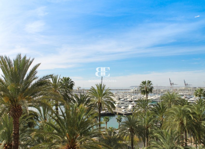 Herverkoop - apartment -
Alicante - Center