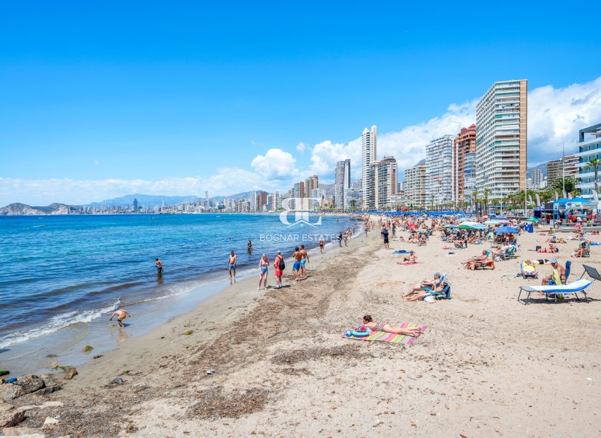 Herverkoop - apartment -
Benidorm* - Levante*
