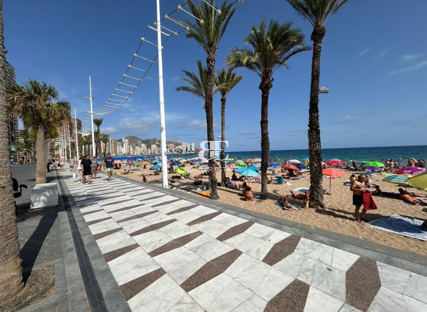 Herverkoop - apartment -
Benidorm - Levante