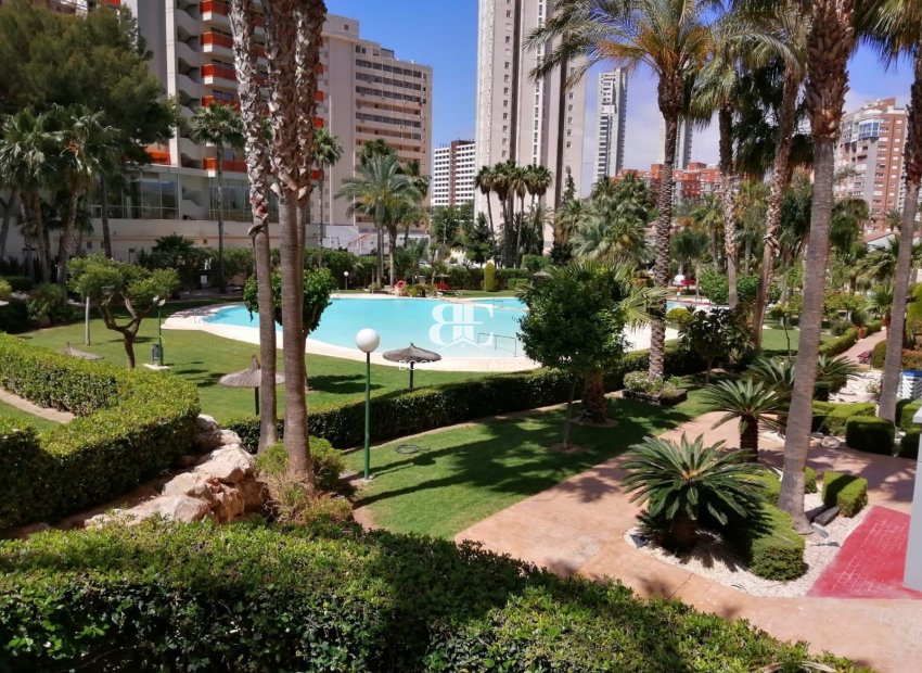 Herverkoop - apartment -
Benidorm - Rincón de Loix