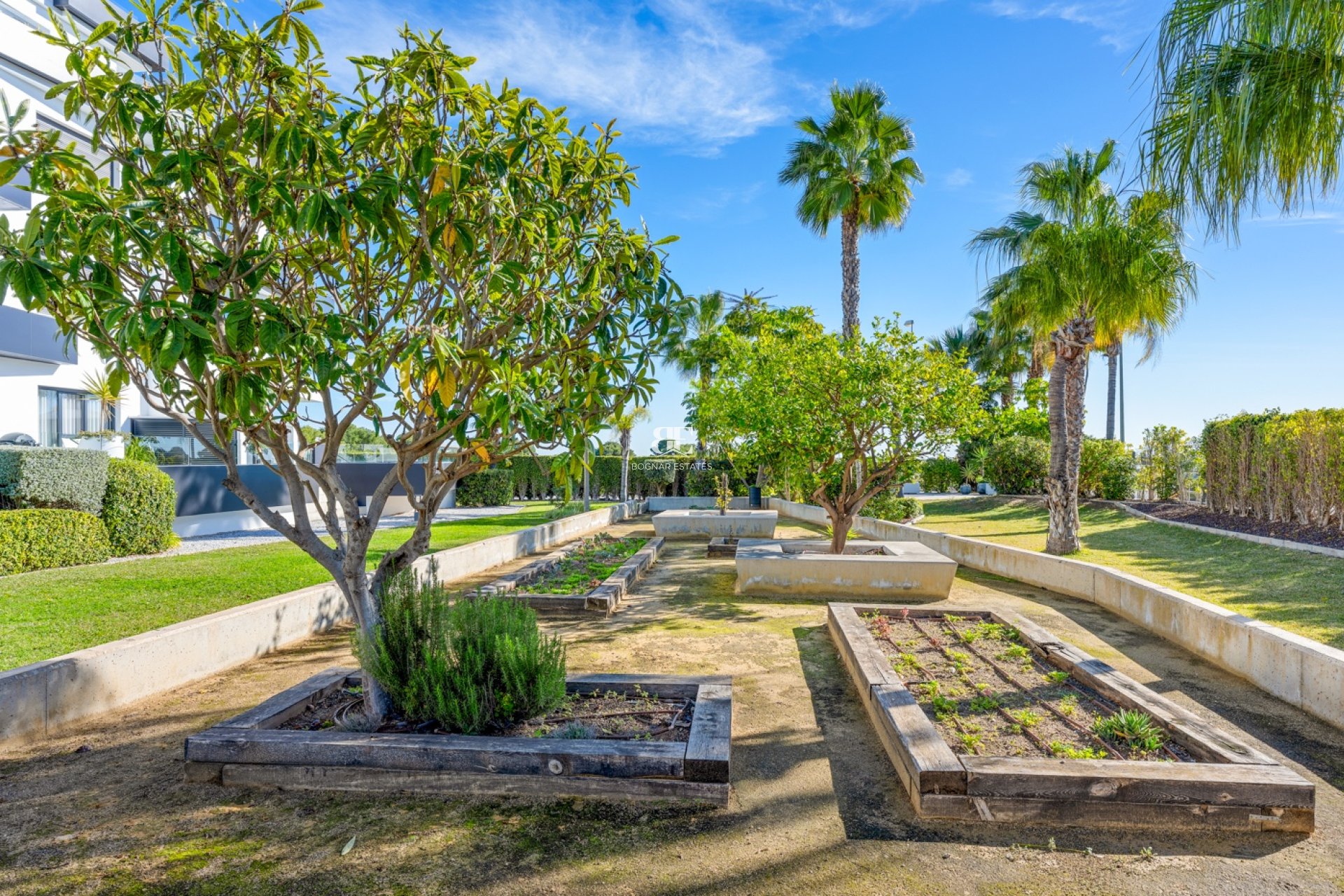 Herverkoop - Apartment / Flat * -
Orihuela Costa - Los Dolses