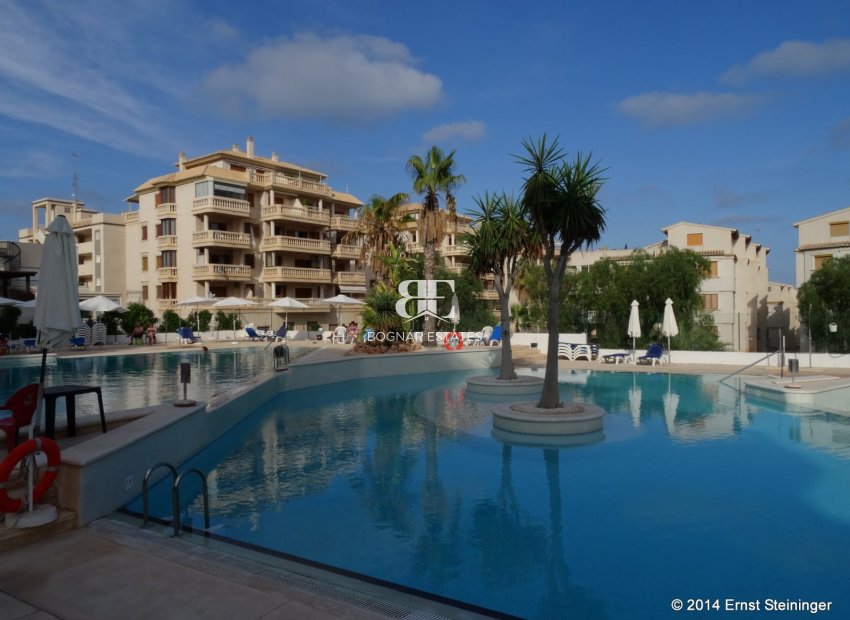 Herverkoop - apartment -
Guardamar del Segura - El Moncayo