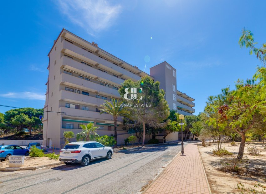 Herverkoop - apartment -
Guardamar del Segura - Pinomar