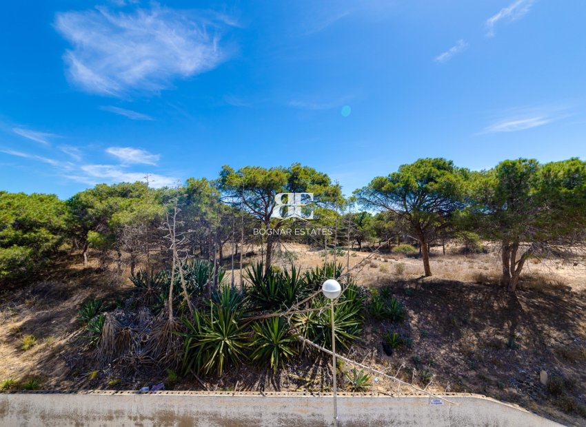 Herverkoop - apartment -
Guardamar del Segura - Pinomar