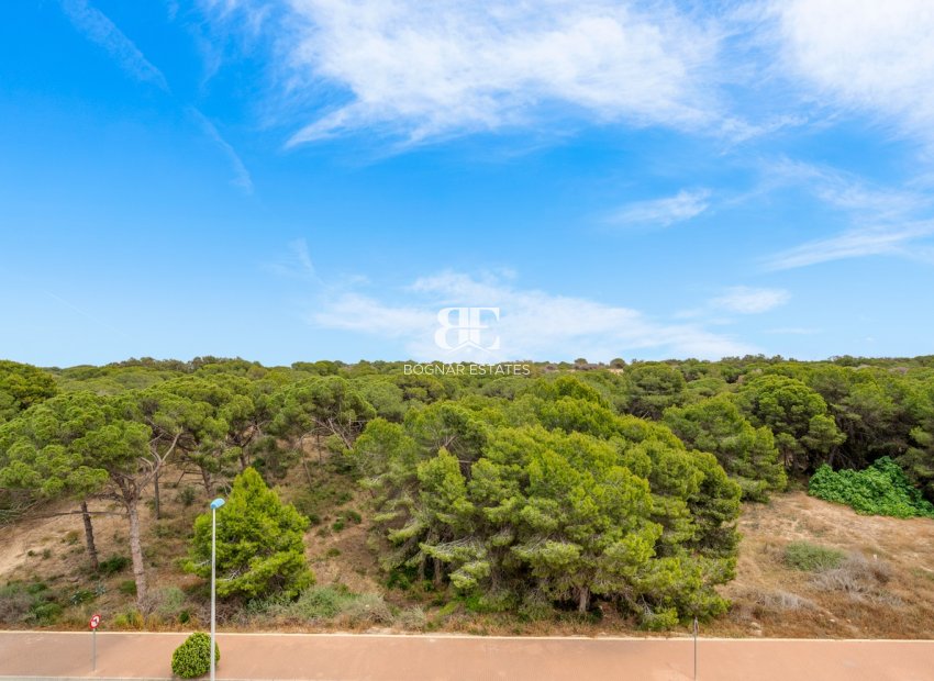 Herverkoop - apartment -
Guardamar del Segura