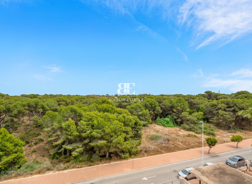 Herverkoop - apartment -
Guardamar del Segura