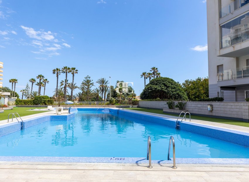 Herverkoop - apartment -
La Mata - Playa