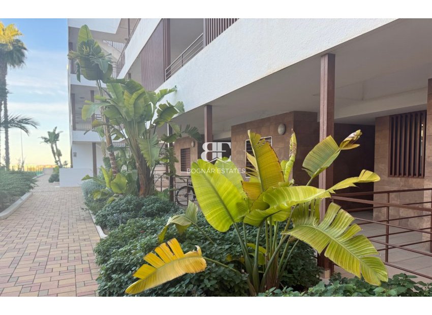 Herverkoop - apartment -
Lomas de Cabo Roig - Lomas De Cabo Roig