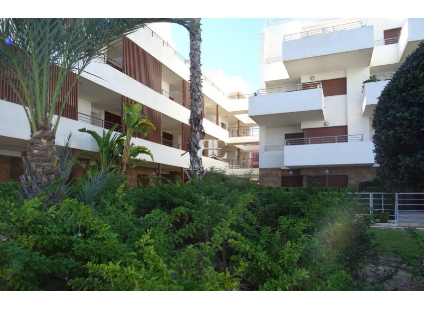 Herverkoop - apartment -
Lomas de Cabo Roig - Lomas De Cabo Roig