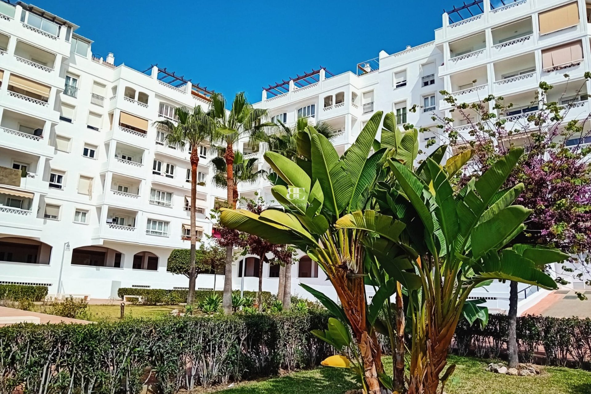 Herverkoop - apartment -
Marbella - Nueva Andalucía