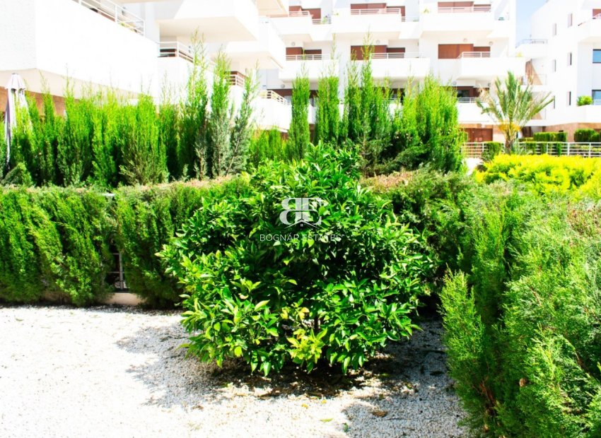 Herverkoop - apartment -
Orihuela Costa - Cabo Roig