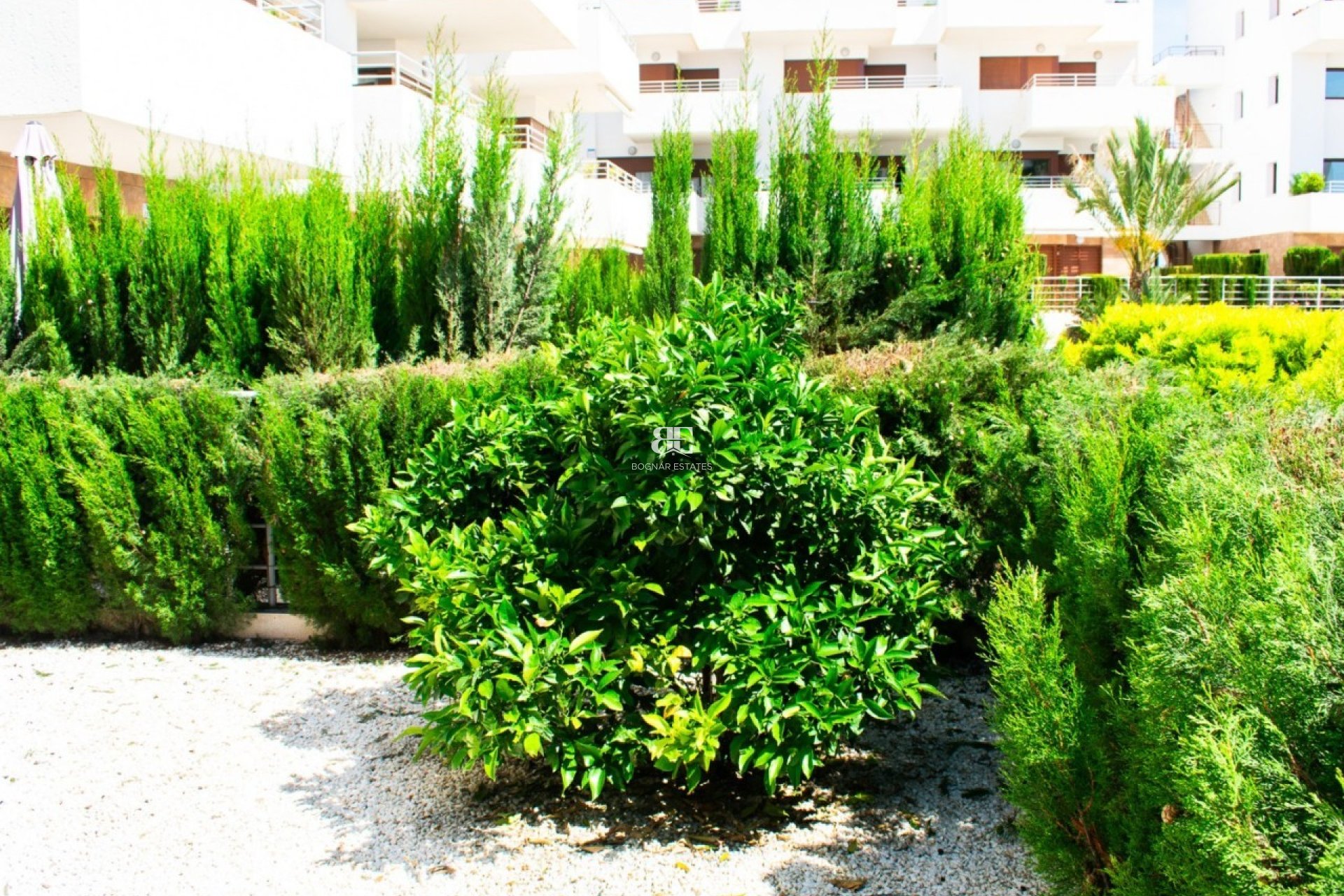 Herverkoop - apartment -
Orihuela Costa - Cabo Roig