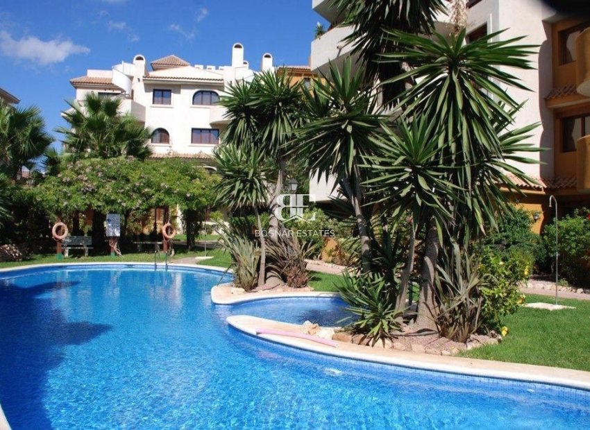 Herverkoop - apartment -
Punta Prima