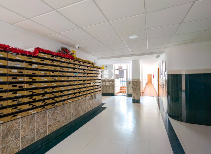 Herverkoop - apartment -
Torrevieja - El Acequión - Los Náufragos