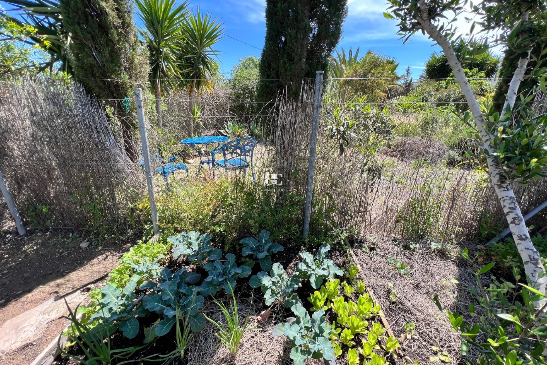 Herverkoop - Country House -
Cartagena