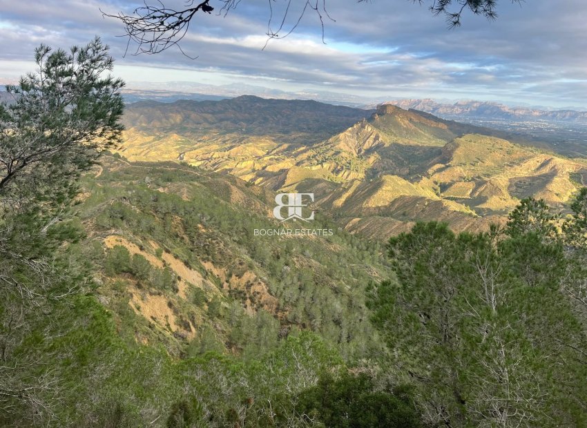 Herverkoop - Country House -
Gea Truyols - Gea y Trujols