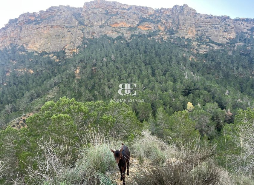 Herverkoop - Country House -
Gea Truyols - Gea y Trujols