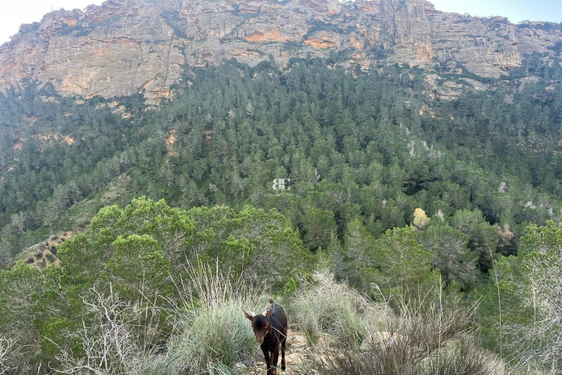 Herverkoop - Country House -
Gea Truyols - Gea y Trujols