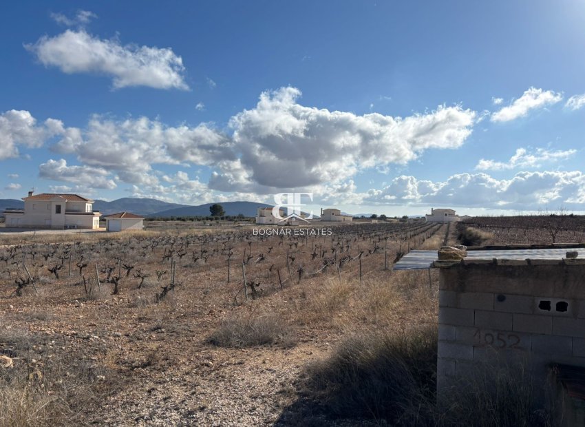Herverkoop - Land -
Pinoso - el Pinós / Pinoso