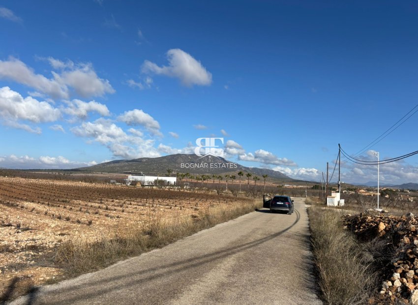 Herverkoop - Land -
Pinoso - el Pinós / Pinoso