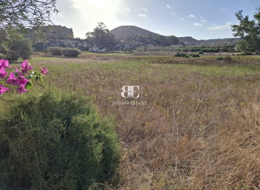 Herverkoop - Land -
Rojales - Ciudad Quesada