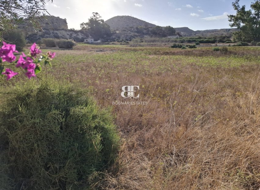 Herverkoop - Land -
Rojales - Ciudad Quesada