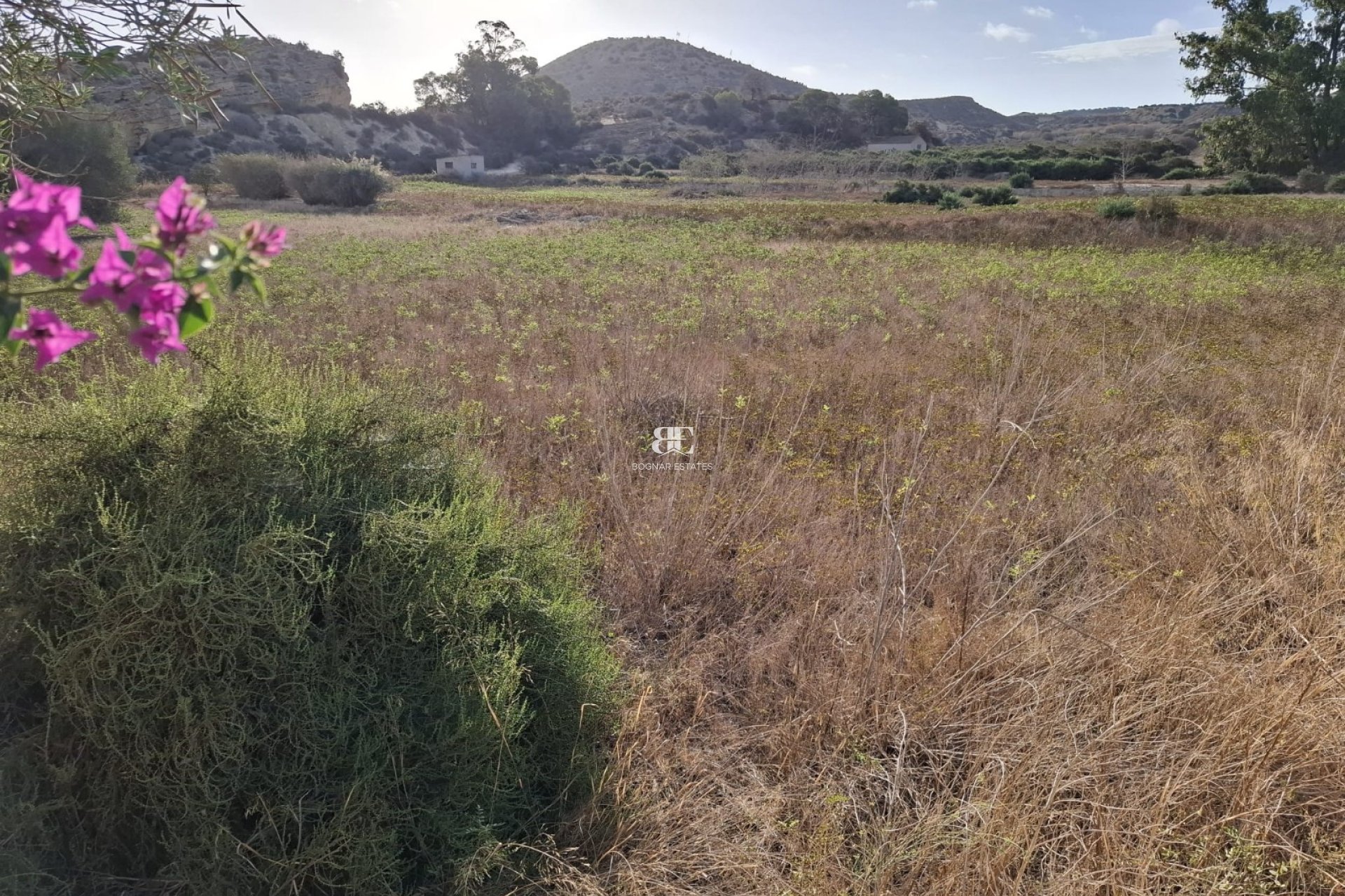 Herverkoop - Land -
Rojales - Ciudad Quesada