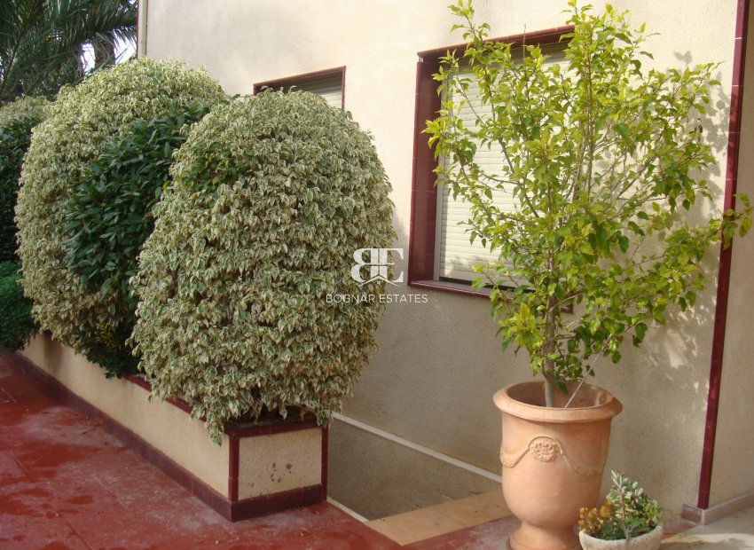 Herverkoop - Villa -
Elche
