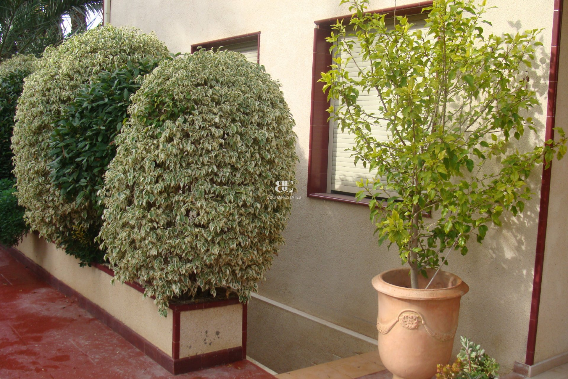 Herverkoop - Villa -
Elche