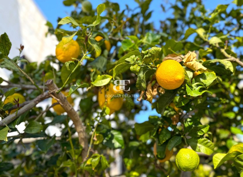 Herverkoop - Villa -
Orihuela Costa - Villamartín