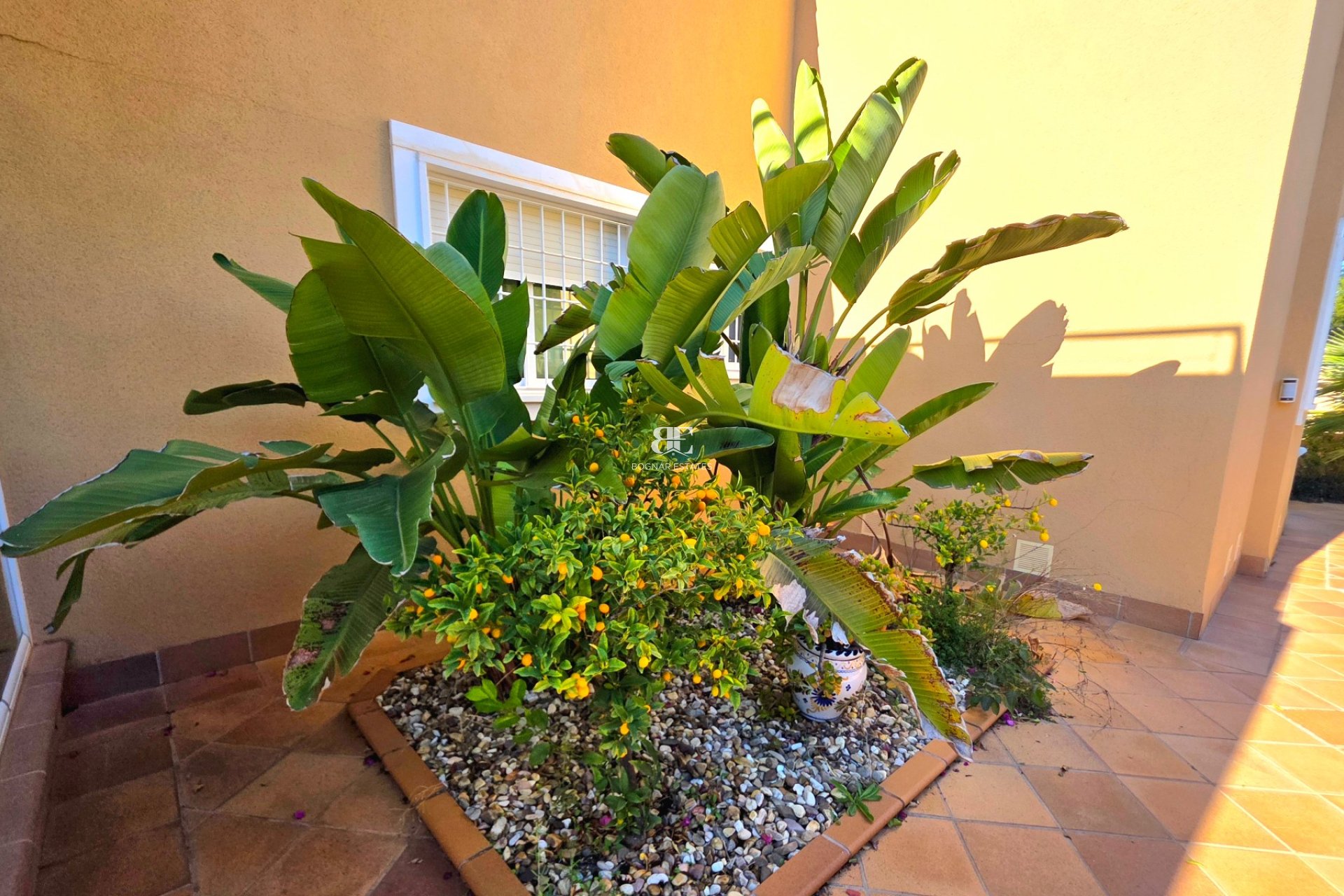 Herverkoop - Villa -
Torrevieja - Cabo Cervera