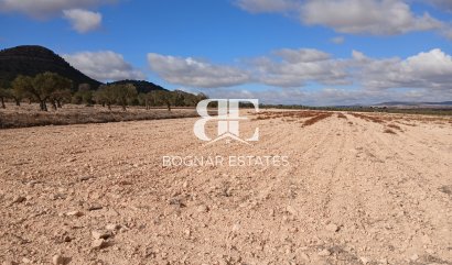 Land - Herverkoop - Yecla -
                Yecla