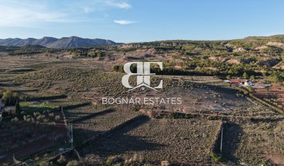 Land - Resale -
                Yecla - MM-74448