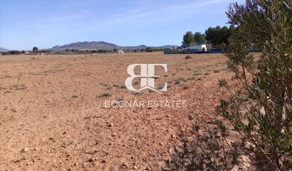 Land - Resale - Yecla -
                Yecla