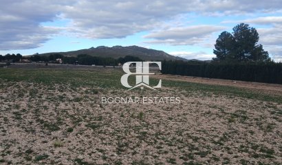 Land - Resale - Yecla -
                Yecla