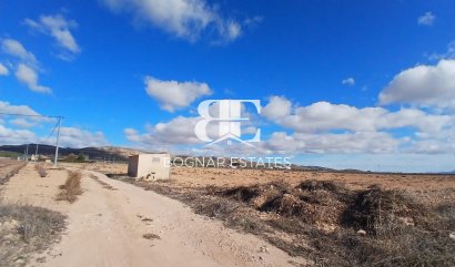 Land - Resale - Yecla -
                Yecla