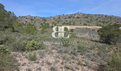 Land - Resale - Yecla -
                Yecla