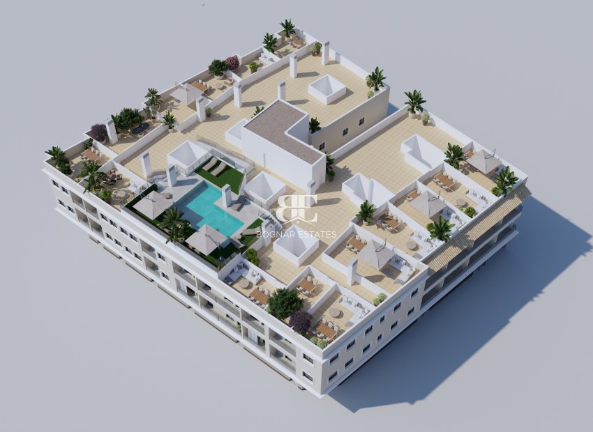 Neubau - apartment -
Algorfa