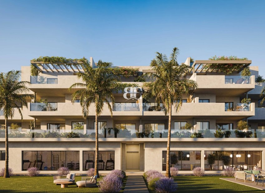 Neubau - apartment -
Casares Costa
