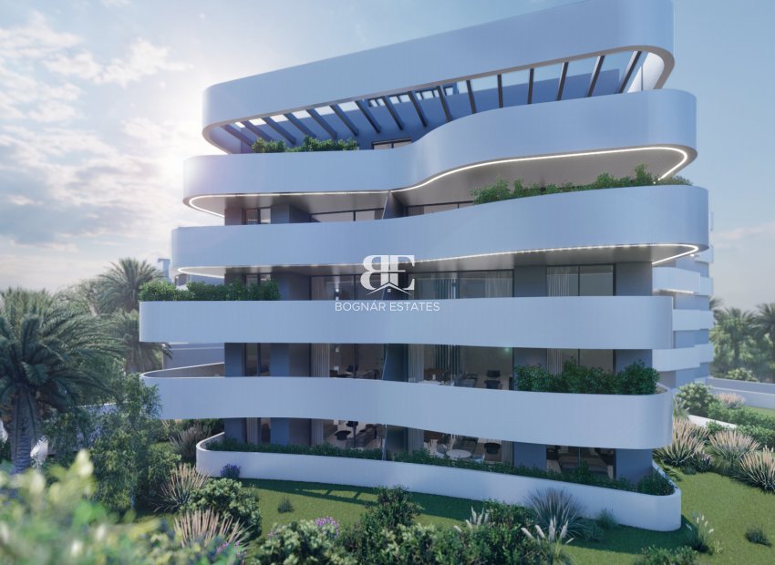 Neubau - apartment -
Guardamar del Segura