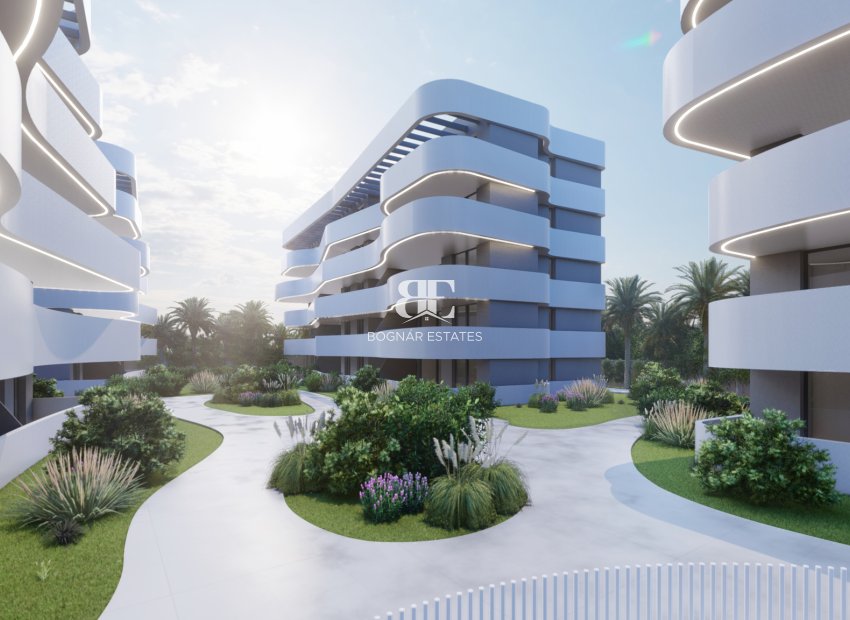 Neubau - apartment -
Guardamar del Segura