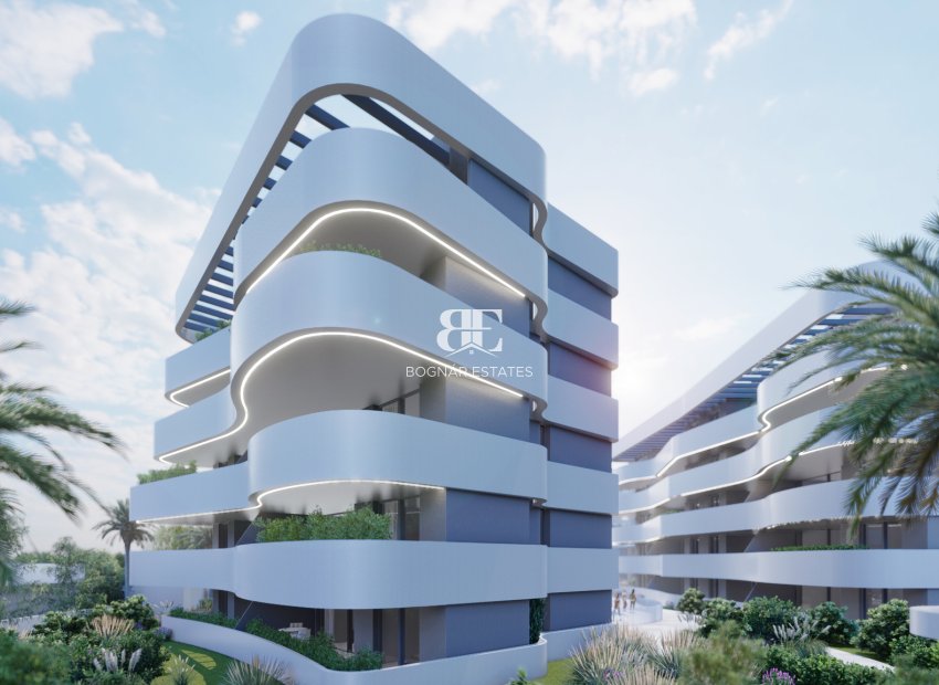 Neubau - apartment -
Guardamar del Segura