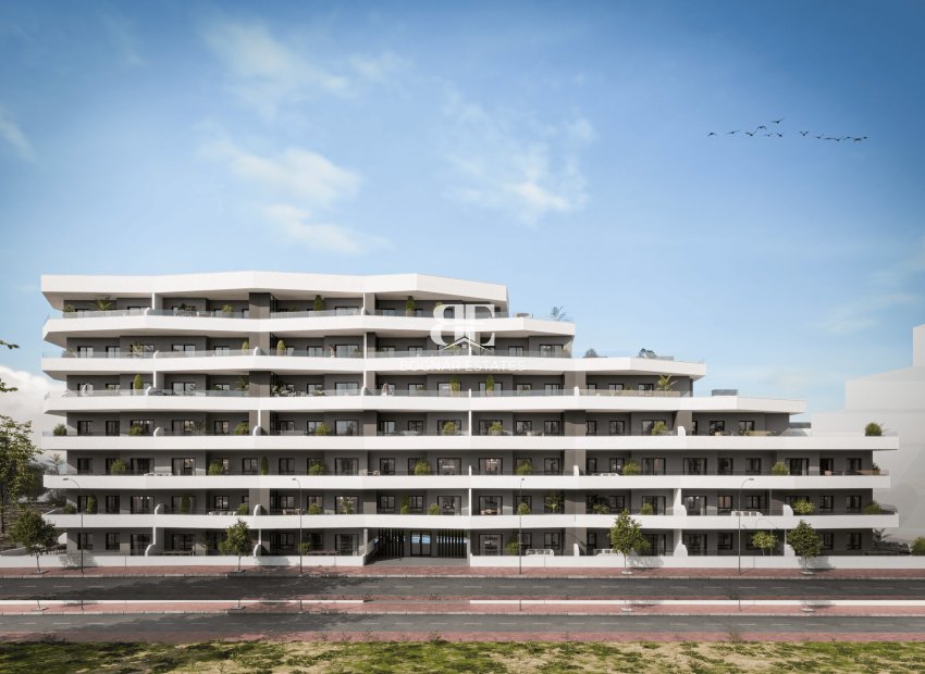 Neubau - apartment -
San Miguel de Salinas