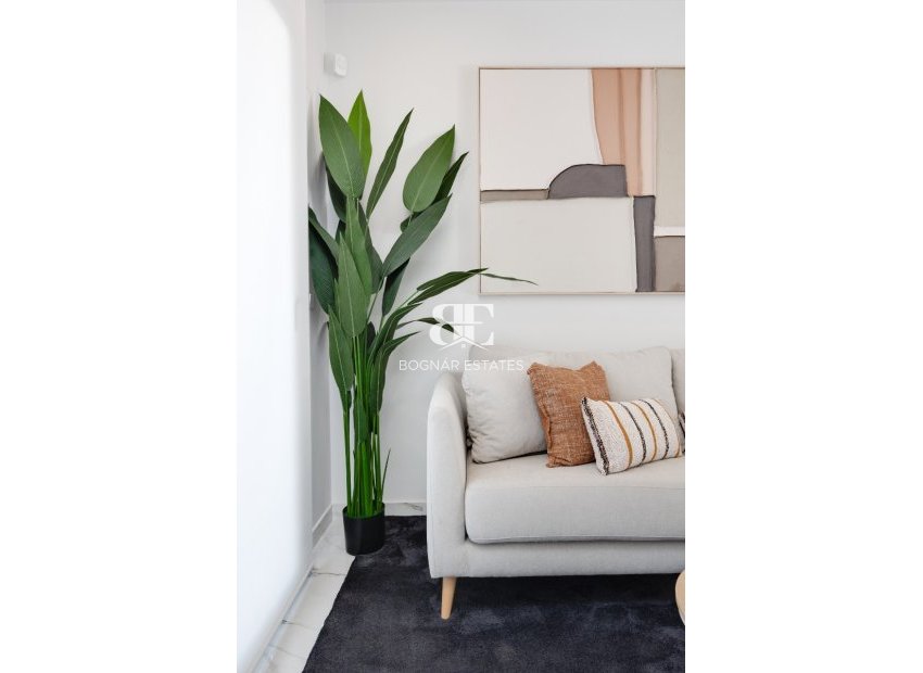 Neubau - ground-floor -
San Miguel de Salinas