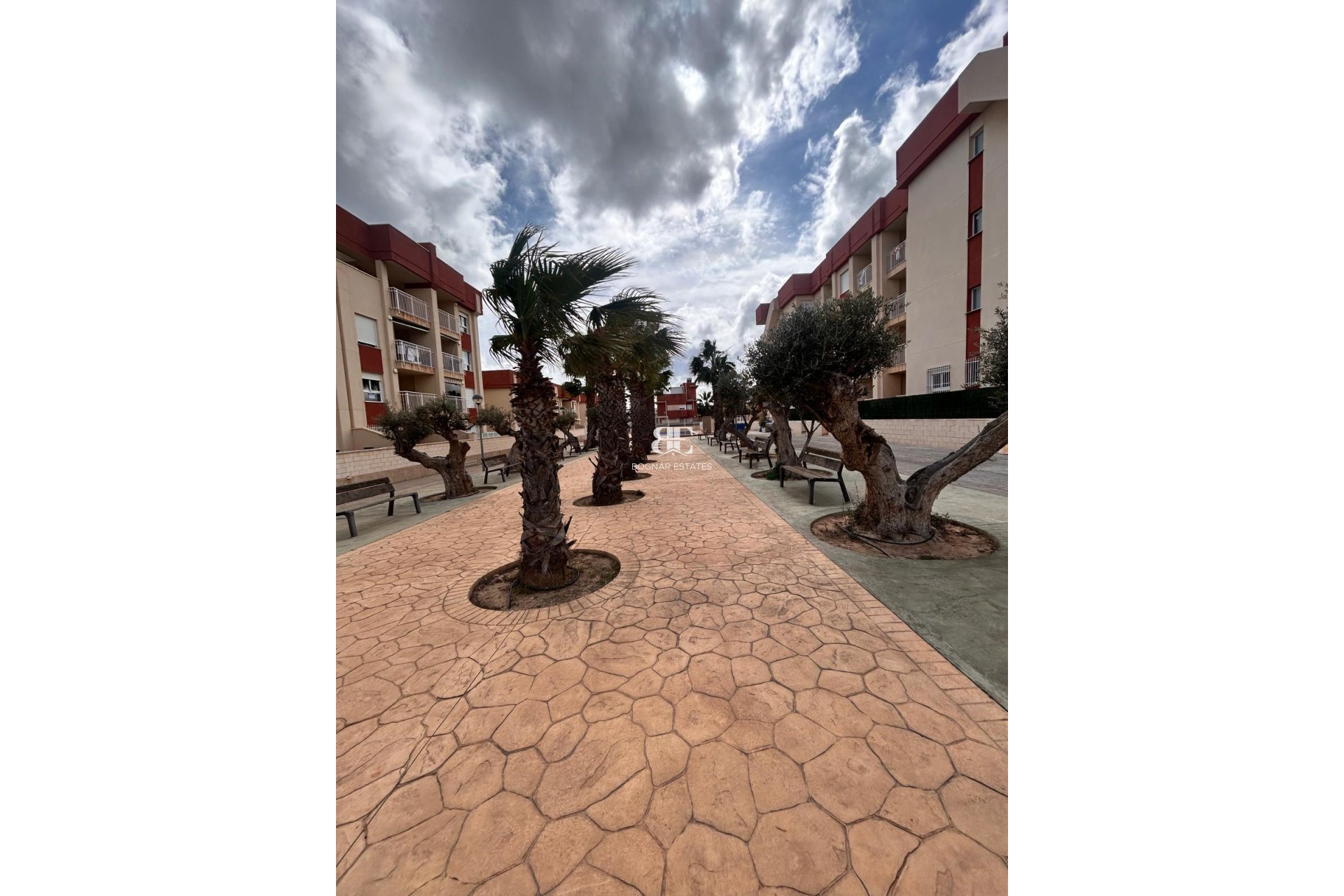 New Build - apartment -
Orihuela