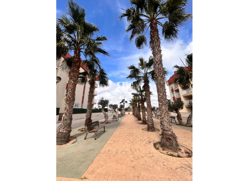 New Build - apartment -
Orihuela