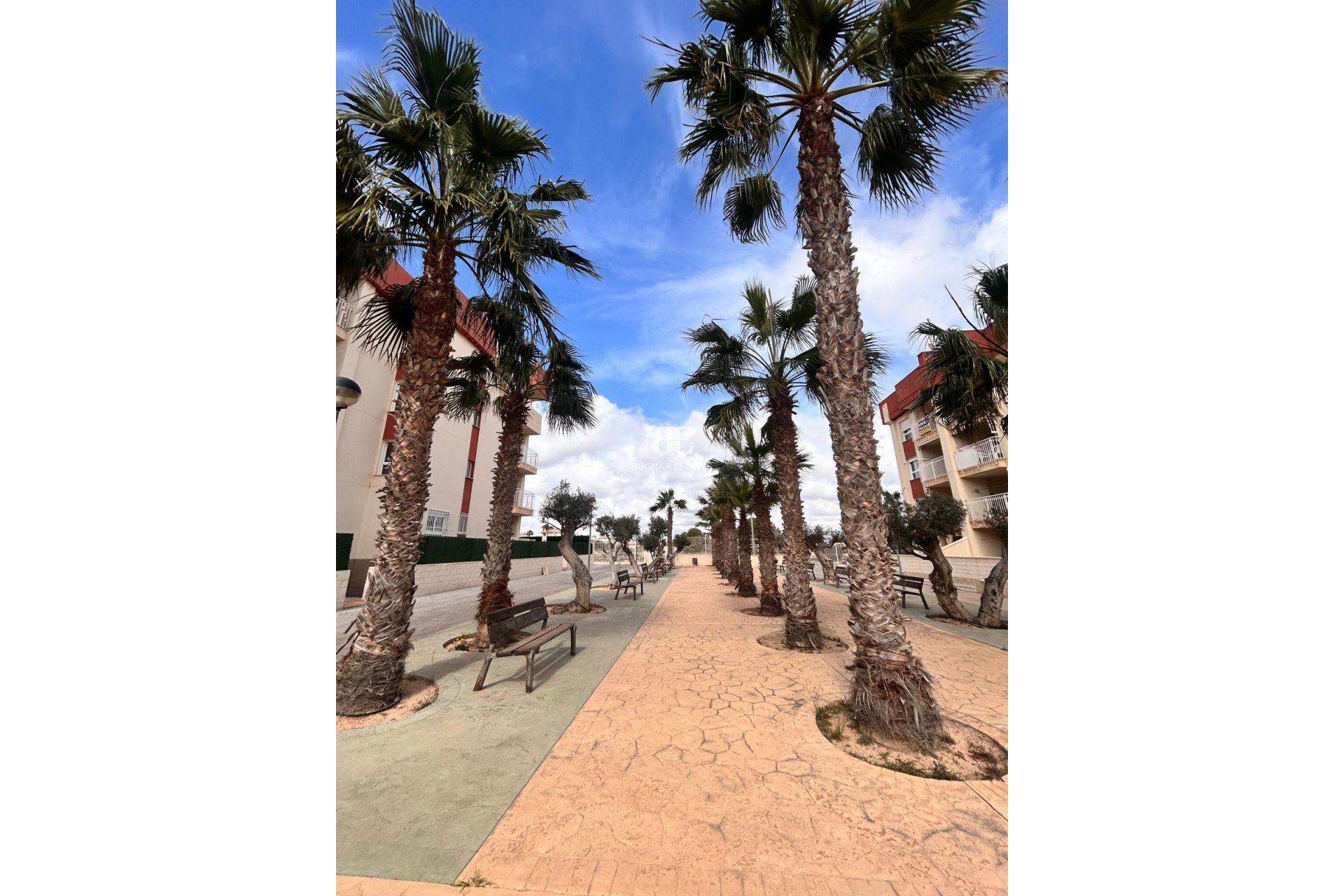 New Build - apartment -
Orihuela