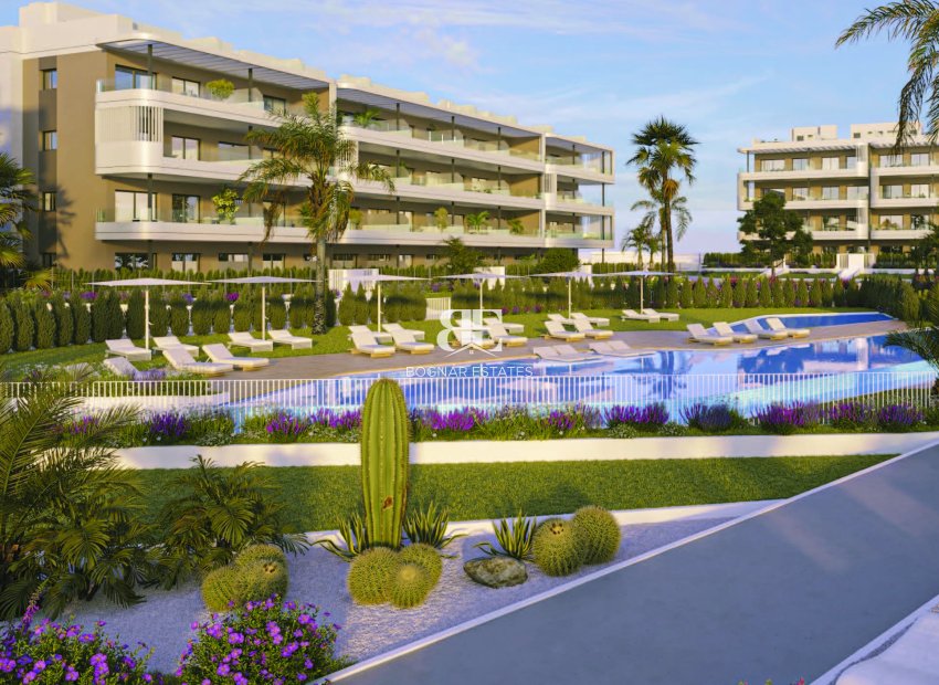 New Build - apartment -
Torrevieja